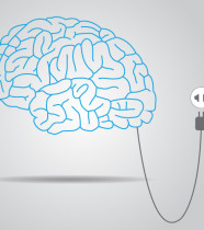 How Your Emotional Brain Pulls The Plug on Your Thinking Brain